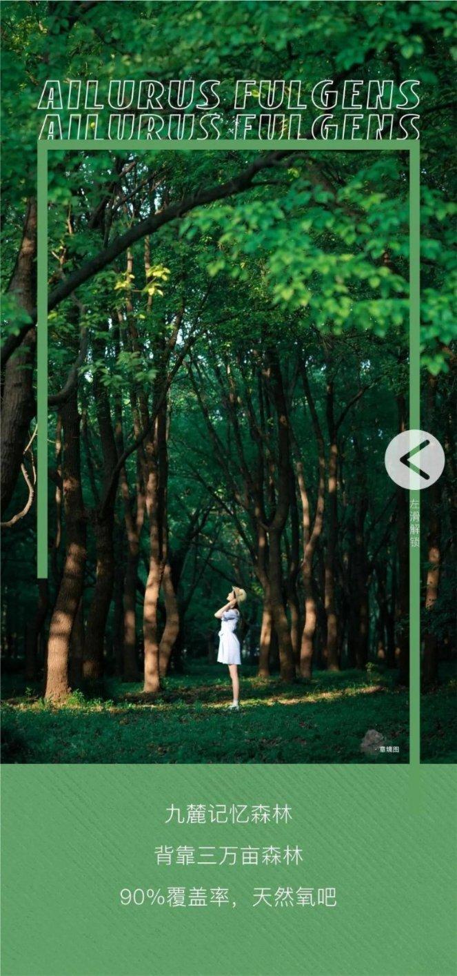 春雨直播app